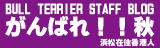 ブルテリアスタッフブログ　がんばれ秋！