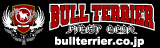 Bull Terrier Fight Gear Web Site