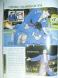 画像4: ブラジル格闘技雑誌 TATAME #126 (4)