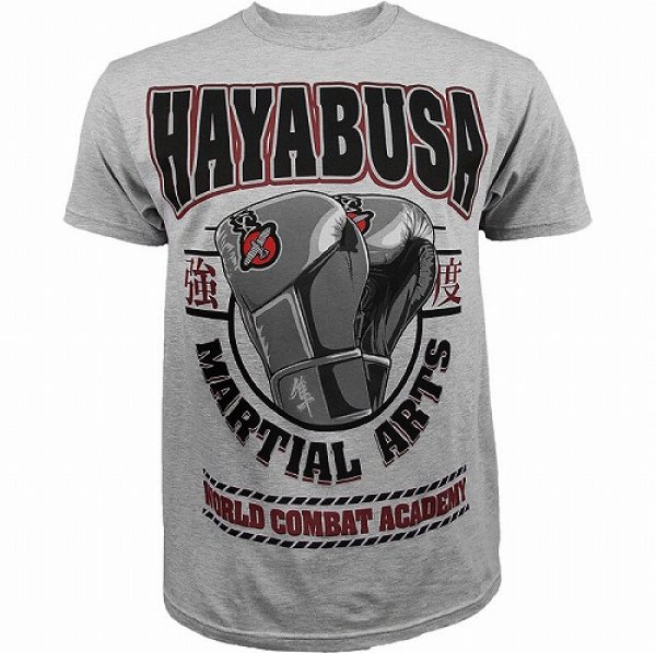画像1: Hayabusa　Tシャツ　Academy　グレー (1)
