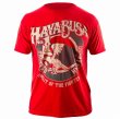 画像1: Hayabusa　Tシャツ　Branded　赤 (1)