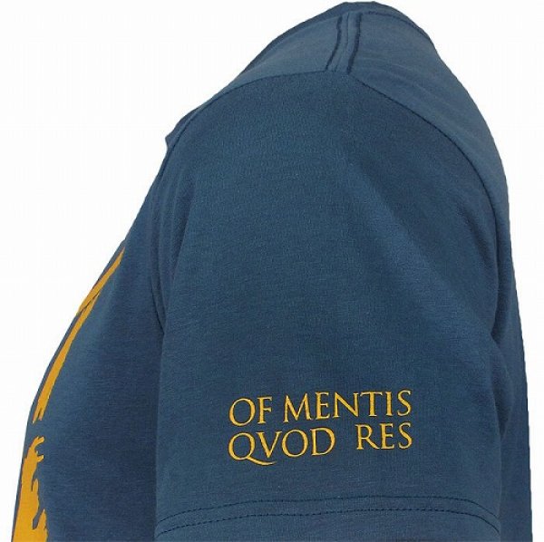 画像3: VXRSI Tシャツ Fight Like Hell レイクブルー (3)