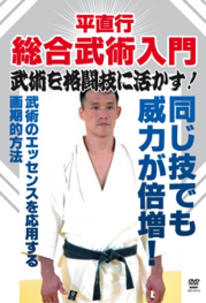 画像1: DVD　平直行 総合武術入門 (1)