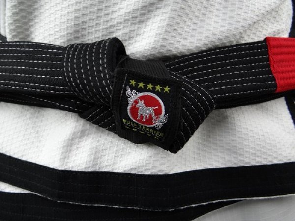 画像3: ブルテリア 帯留め (3)