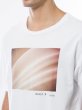 画像4: RVCA Tシャツ BLANKS 白 (4)