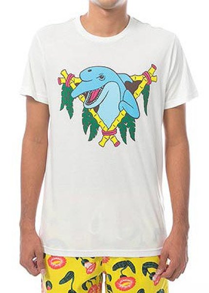 画像1: RVCA Tシャツ DOLPHN CLUB 白 (1)