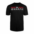 画像1: BAD BOY Tシャツ Karate Discipline 黒 (1)