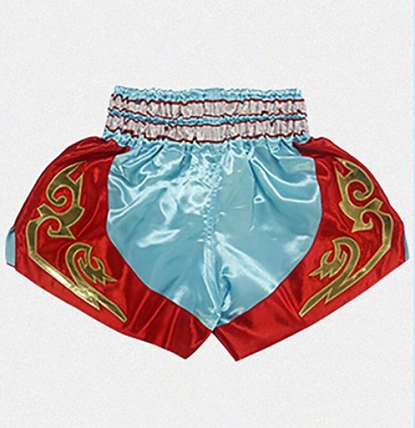 画像2: FLUORY ムエタイショーツ MTSF57 スカイブルー (2)