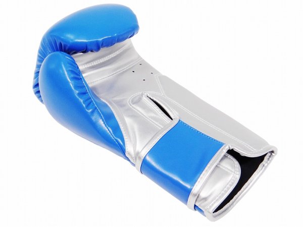 画像8: BULL TERRIER ボクシンググローブ Classic 青 (8)