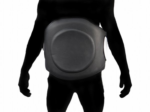 画像8: BULL TERRIER コーチングボディプロテクター (8)