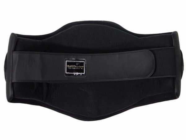 画像3: BULL TERRIER コーチングボディプロテクター (3)