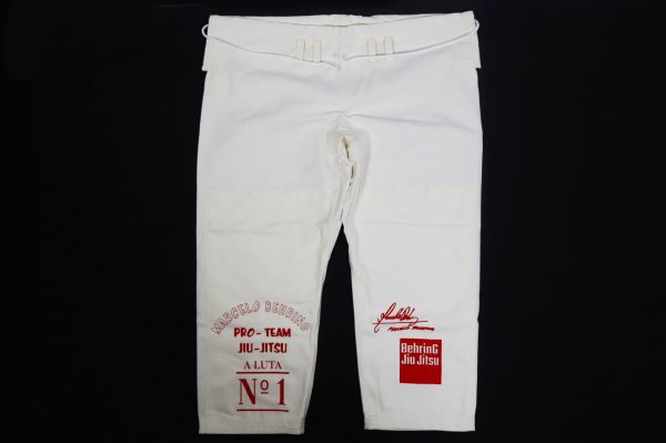 実物の写真になります。