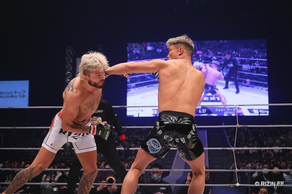 画像10: BULL TERRIER ロングスパッツ Traditional グレー (10)