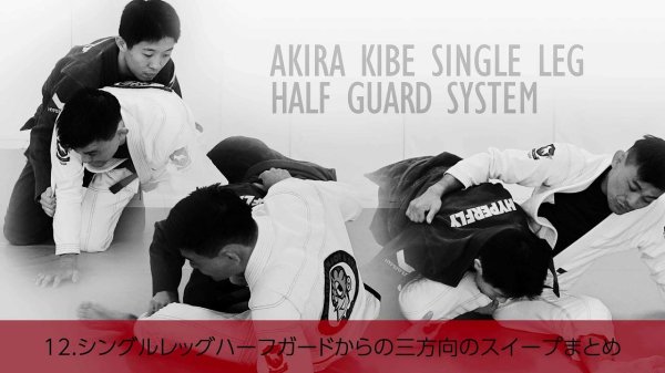 画像10: 木部 亮 シングルレッグハーフガードシステム (10)