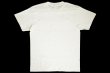 画像2: BULL TERRIER Tシャツ Basic クリーム (2)
