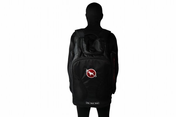 画像7: BULL TERRIER コンバーチブルバックパック Traditional (7)