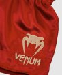画像4: VENUM ムエタイショーツ Classic ボルドー/金 (4)