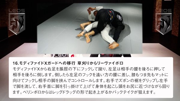 画像6: 森戸新士 ワンレッグX ドミナンス (6)