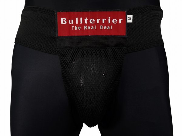 画像4: BULL TERRIER　ファールカップ＆サポーター2.0 (4)