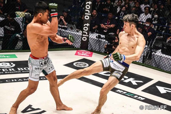 画像10: BULL TERRIER スパッツ Houou 黒 (10)