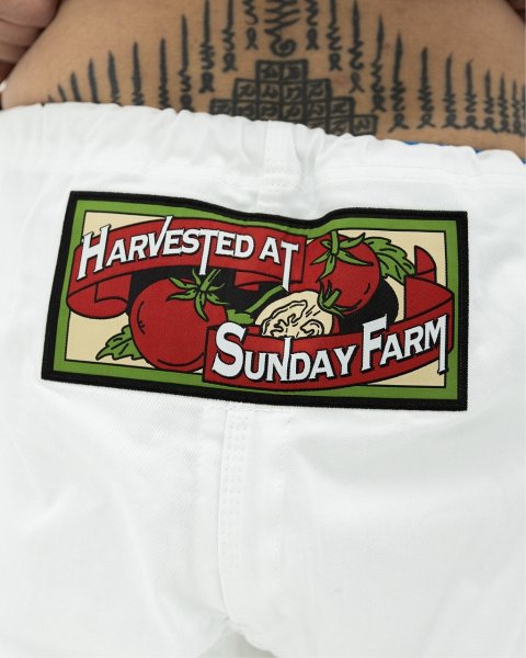 画像13: SUNDAY GROCERY STORE 柔術衣 Canned 白 (13)