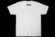 画像2: BULL TERRIER Tシャツ WBOX 白/黒/赤 (2)