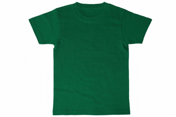 画像2: BULLTERRIER　キッズTシャツ Mata Leao 緑 (2)