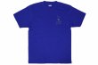画像2: BULL TERRIER Tシャツ BT QUEST 青 (2)