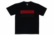 画像1: BULL TERRIER ドライフィットTシャツ WBOX 黒/黒/ワイン (1)