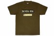 画像1: BULL TERRIER Tシャツ Steel Logo オリーブ (1)