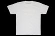 画像2: BULL TERRIER Tシャツ Steel Logo 白 (2)