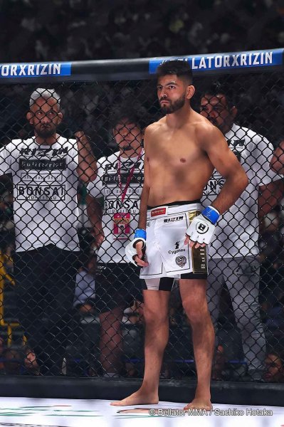 画像5: BULL TERRIER Tシャツ WBOX 白/ベージュ (5)