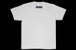 画像2: BULL TERRIER Tシャツ WBOX 白/ベージュ (2)