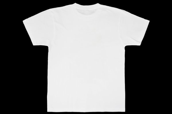 画像2: BULL TERRIER クレベル・コイケ Lion Tシャツ 白 (2)