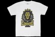 画像1: BULL TERRIER クレベル・コイケ Lion Tシャツ 白 (1)