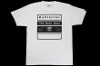 画像1: BULL TERRIER Tシャツ 4BOX 白/黒 (1)