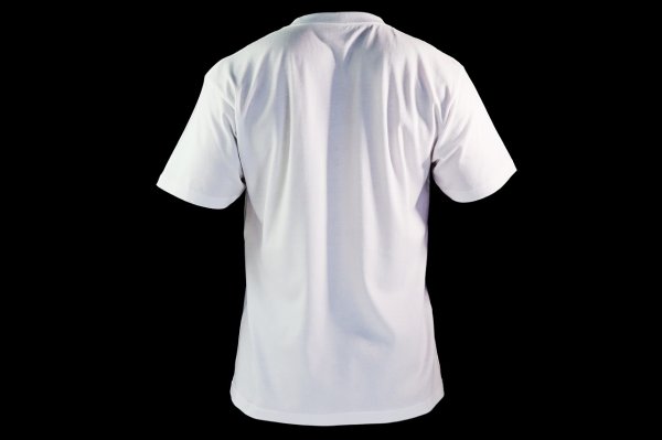 画像7: BULL TERRIER Tシャツ 4BOX 白/黒 (7)