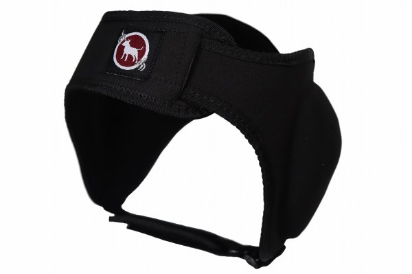 画像2: BULL TERRIER　イヤーガード3.0 (2)