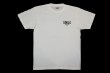 画像1: BULL TERRIER Tシャツ Classic Logo クリームホワイト (1)