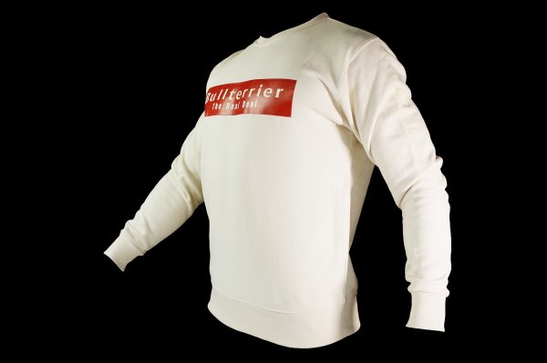 画像5: BULL TERRIER スウェットトレーナー Basic Logo　ベージュ (5)