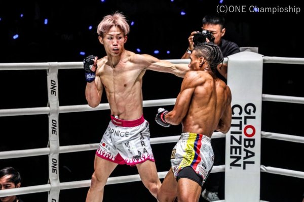 画像6: BULLTERRIER ファイトショーツ Short Fire 黒 (6)