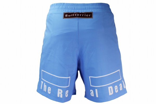 画像3: BULLTERRIER ファイトショーツ Fight&Sports スカイ (3)