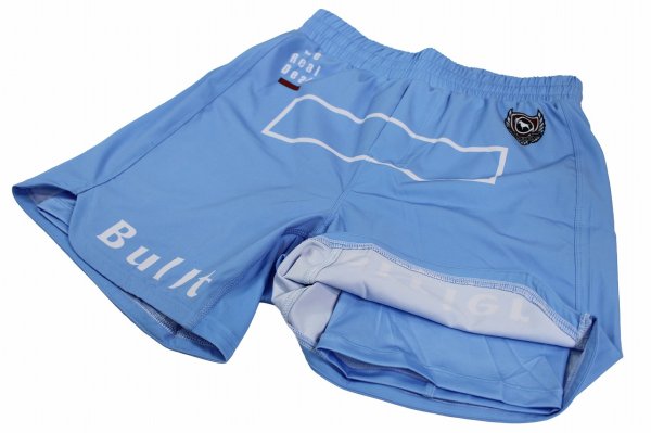 画像8: BULLTERRIER ファイトショーツ Fight&Sports スカイ (8)