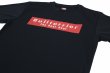 画像3: BULL TERRIER ドライTシャツ Basic Logo 黒 (3)