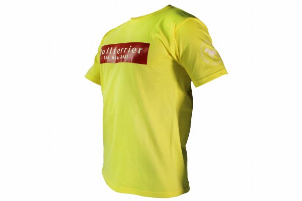 画像5: BULL TERRIER Tシャツ Basic Logo 黄 (5)
