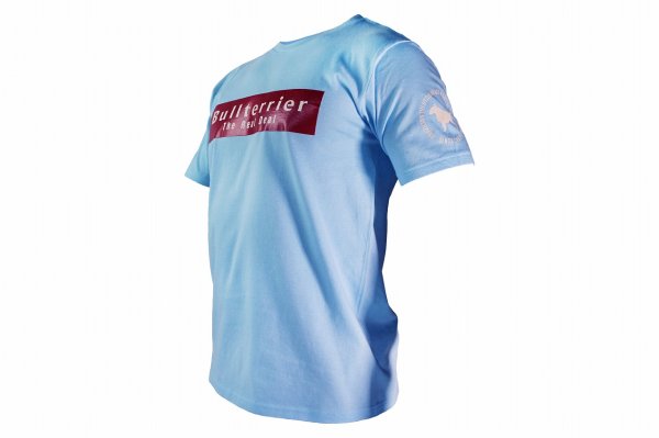 画像5: BULL TERRIER Tシャツ Basic Logo ライトブルー (5)