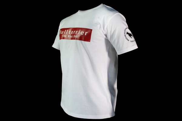 画像5: BULL TERRIER Tシャツ Basic Logo 白 (5)