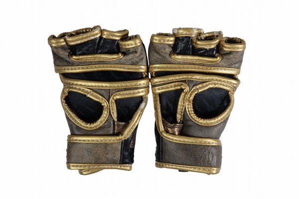 画像2: 【B品】Athlete X　MMAグローブ KAIWERO (Challenger) (2)