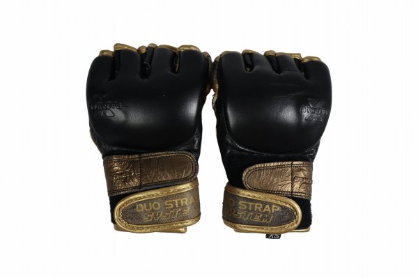 画像1: 【B品】Athlete X　MMAグローブ KAIWERO (Challenger) (1)