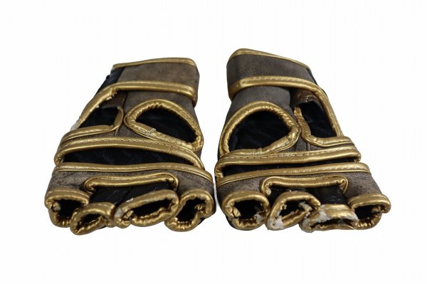 画像3: 【B品】Athlete X　MMAグローブ KAIWERO (Challenger) (3)